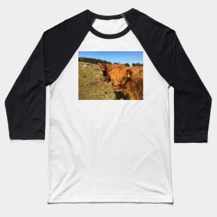 Scottish Highland Cattle Calf 1979 Baseball T-Shirt
